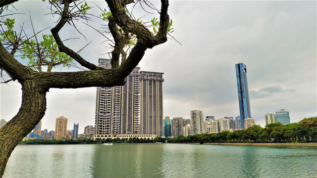 滨海风光