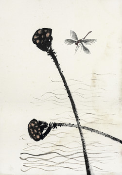 齐白石水墨国画莲蓬和蜻蜓