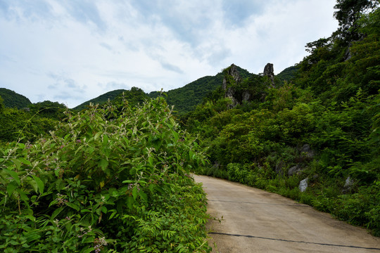 南丹山顶风光