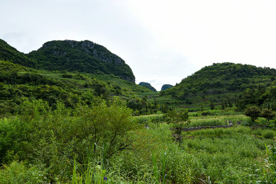 南丹山顶风光
