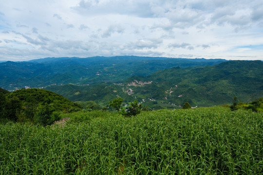 南丹山顶风光