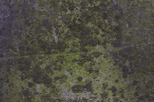 苔藓石灰墙