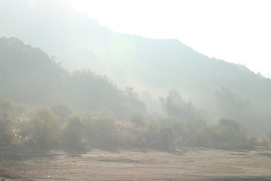 晨雾中的山野