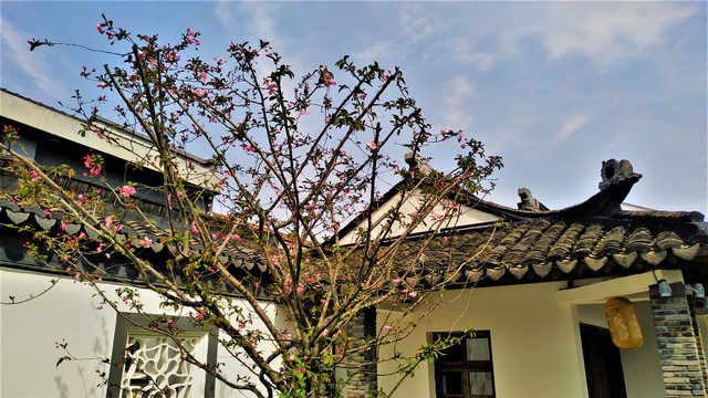 美丽乡村