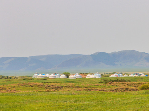 草原蒙古包住宿区