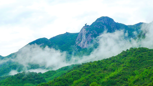 青山绿水