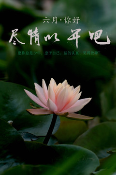 6月你好之原创书法摄影