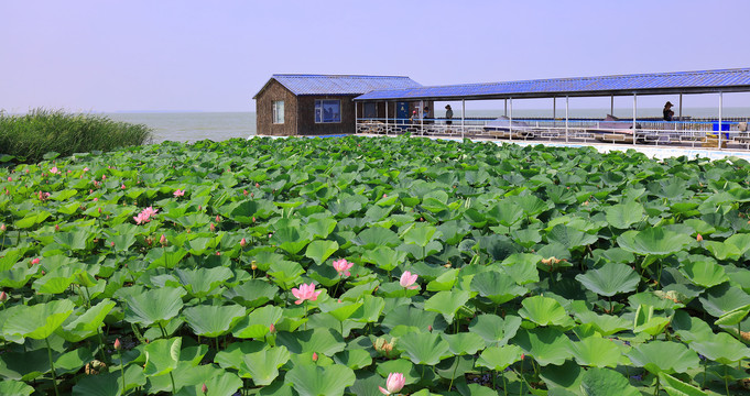 查干湖风光