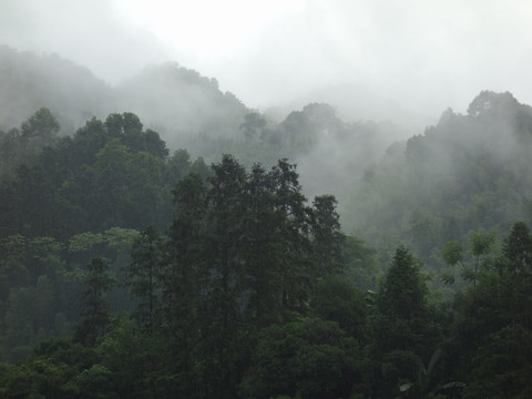 雨后