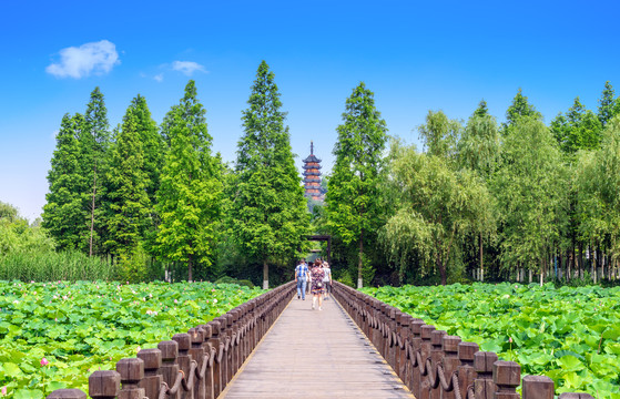 江苏镇江游客去往金山寺的木栈道