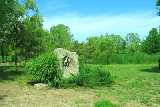 田园风光