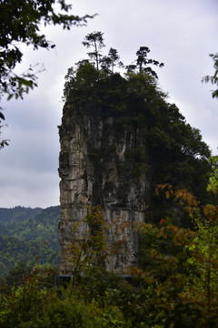 贵州油杉河仙宇峰