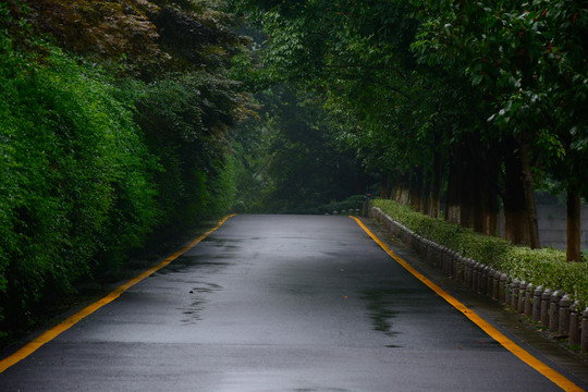 雨花台风光