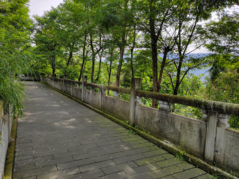 石板路石栏杆林间游道