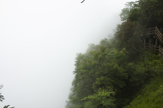 高山风光