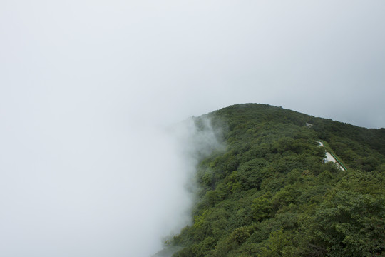 山顶风光