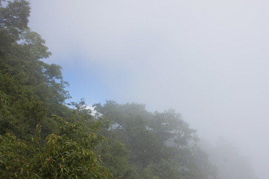 高山风光