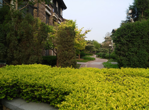 北京王四营CBD