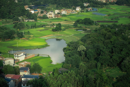 桂林诸葛村夏日田园风光