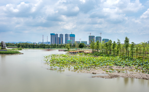 华阳湖湿地公园