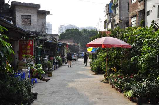 东莞光明路花卉一条街