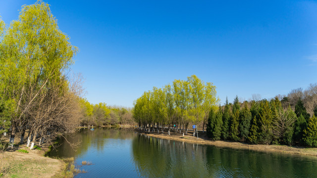 奥林匹克公园湖面风景