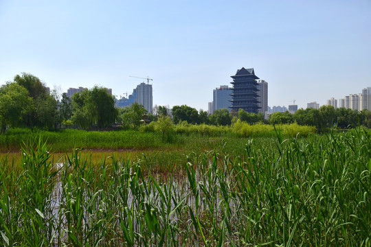 兰州湿地公园