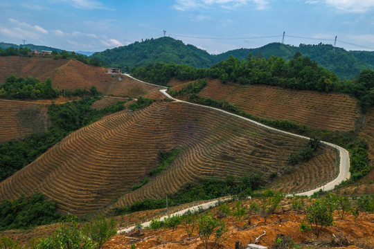 五龙梯田风光