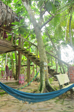 越南九龙江风景区度假村的吊床