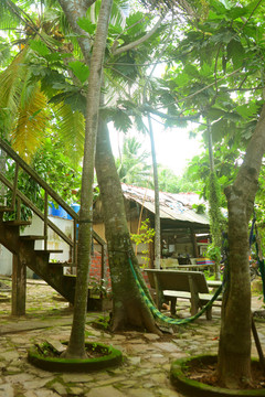 越南度假村休息的吊床