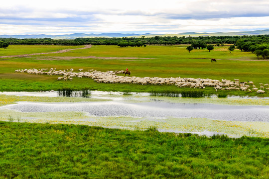 骑马放牧羊群草原河流