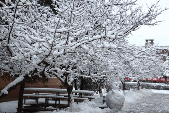 大雪