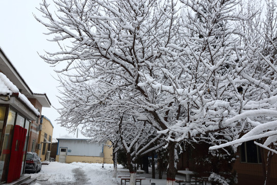 大雪