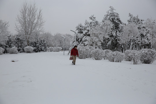 暴雪