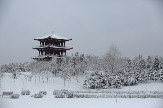 大雪