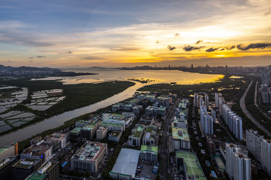 深圳湾航拍