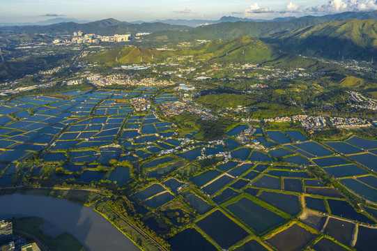 香港河套地区