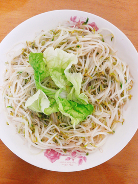 豆芽
