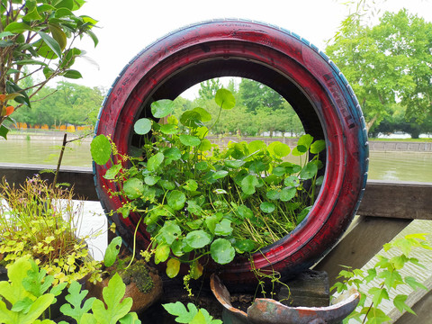 旧轮胎废物利用微景观造型