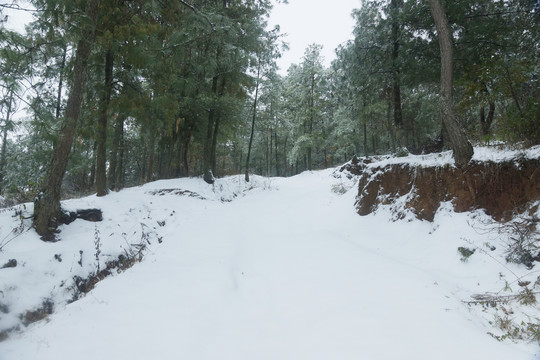 冰雪风光