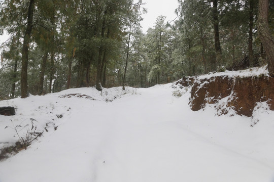 冰雪风光