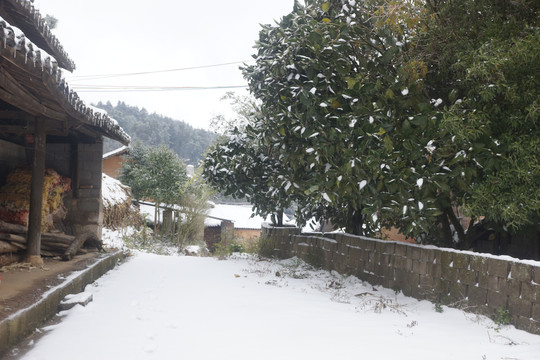 冰雪风光