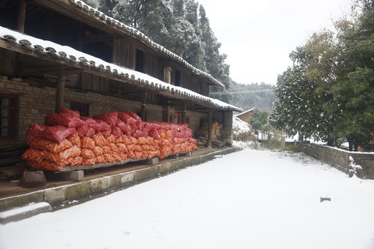 冰雪风光