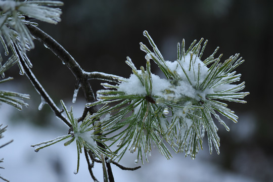 冰雪风光