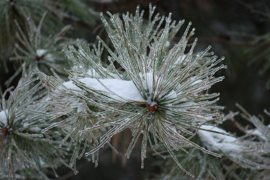 冰雪风光