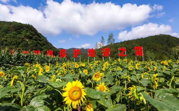 钱河湿地