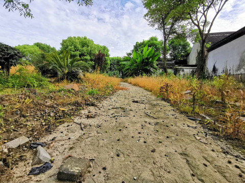 风景油画素材