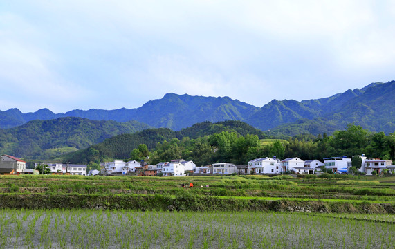 中峰风光BD