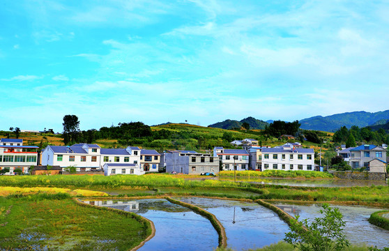 中峰风光BG