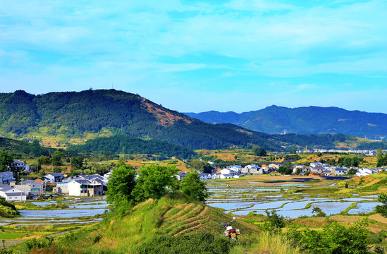 中峰风光BI